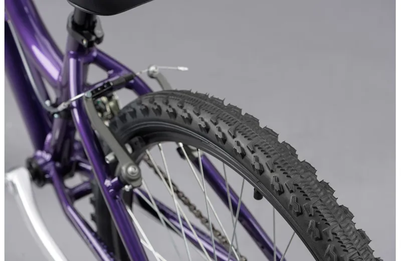 Ridgeback Destiny 24 Kids Bike in Purple-8